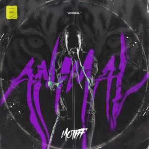 Meet your Posher, Arbise